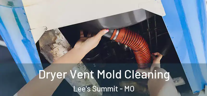 Dryer Vent Mold Cleaning Lee's Summit - MO