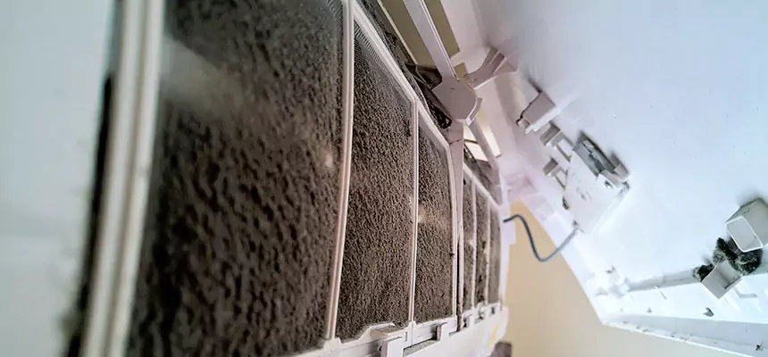 Preventive Air Duct Bacteria Removal in Lee's Summit