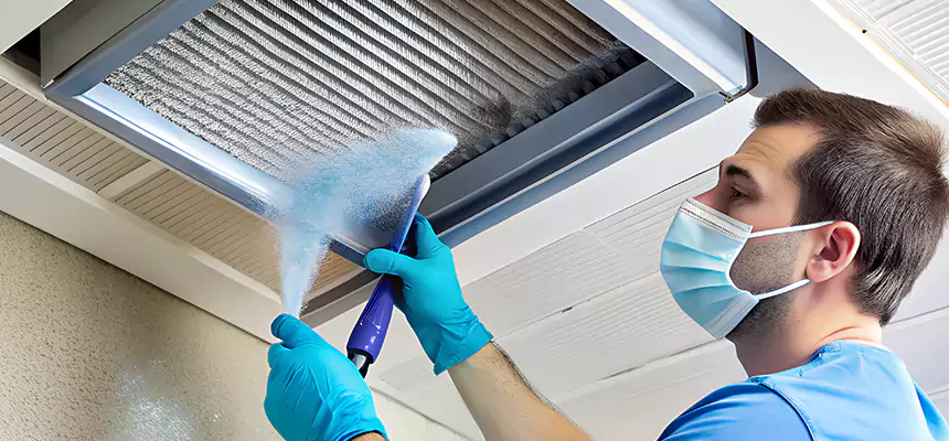 Proactive Dryer Vent & Auxiliary Duct Pollen Cleanup in Lee's Summit, MO