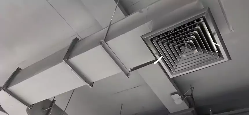 Restorative Allergy Relief Vent Cleaning – Coil, Blower & Housing Detail in Lee's Summit