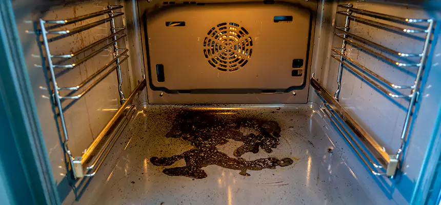 Our Dryer Vent Mold Cleaning Services in Lee's Summit, MO