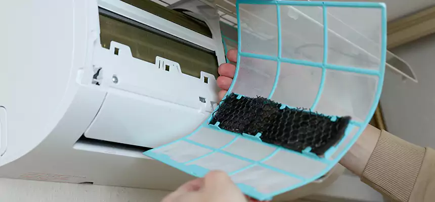 Gentle Ductwork Odor-Control Pet Dander Duct Cleaning in Lee's Summit, MO