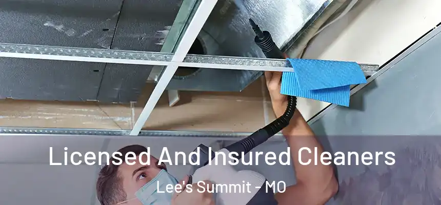  Licensed And Insured Cleaners Lee's Summit - MO