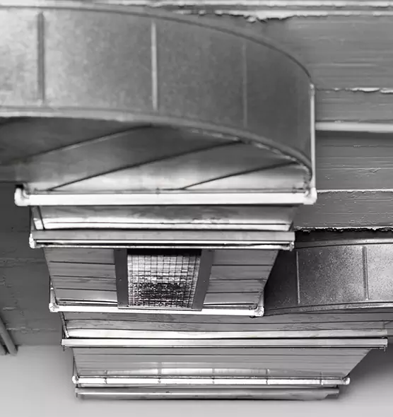 Professional Air Duct Pet Hair Removal in Lee's Summit, MO