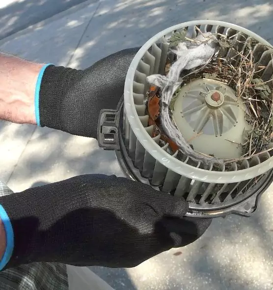 About Air Duct Rat Removal in Lee's Summit, MO