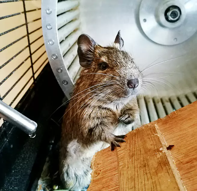 Why Homeowners & Businesses Trust Us Lee's Summit, MO