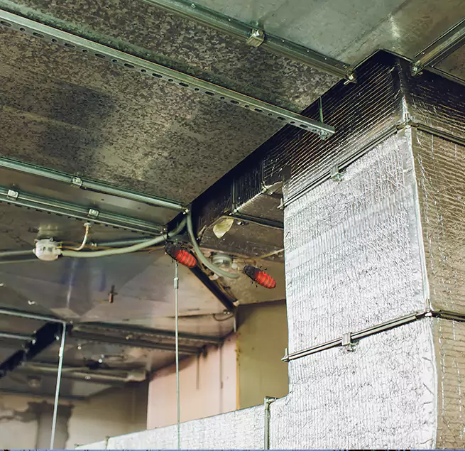 Why Homeowners & Businesses Trust Us Lee's Summit, MO?